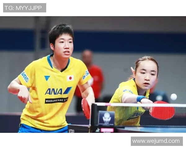 南京羽毛球队实力对比深度解析与未来发展展望